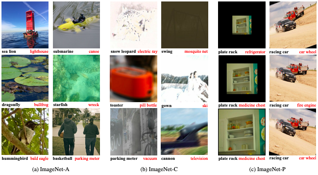 Image classification by models trained with noisy student