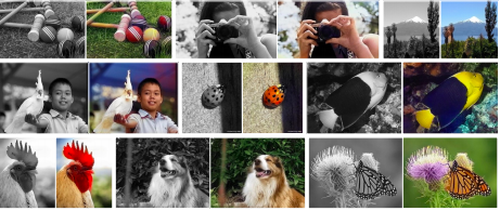 Coloring Grayscale Images as a Pretext Training Task