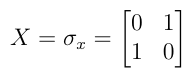 Pauli Matrix of X Gate