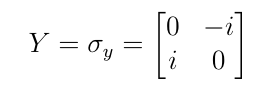 Pauli Matrix for Y Gate